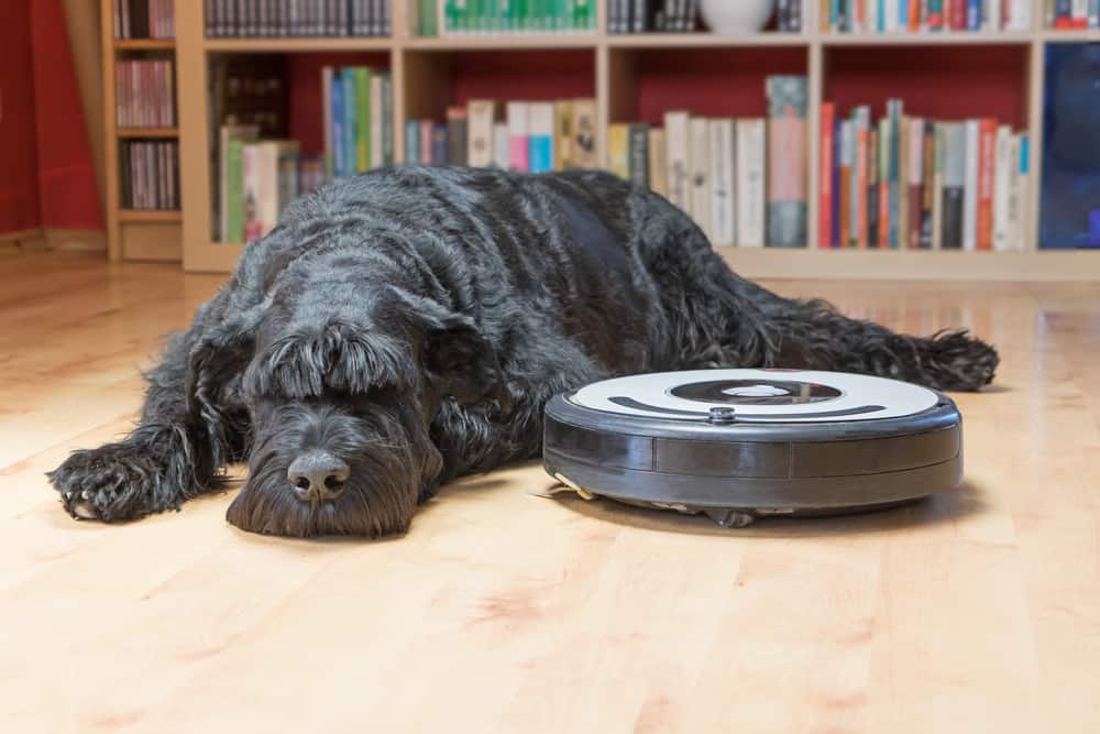 hardwood floor robot cleaner